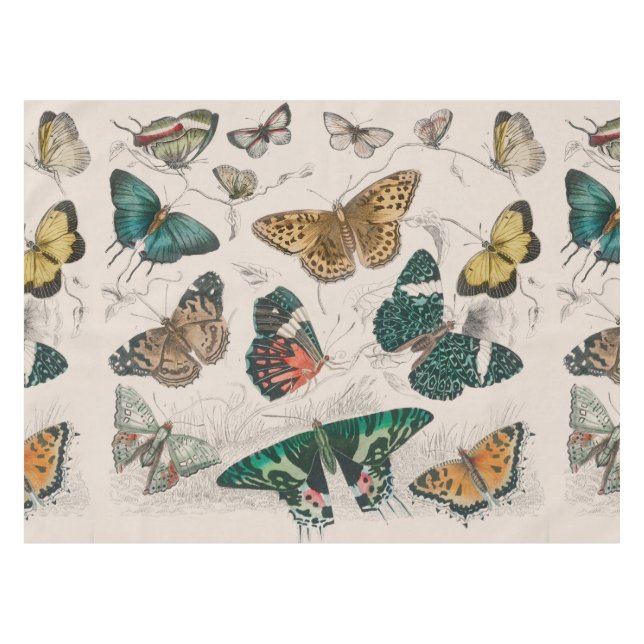 Butterfly Collection Antike Schmetterlinge Tischdecke (Vorderseite (Horizontal))