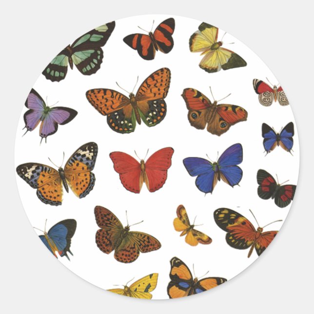 Butterfly Collection Runder Aufkleber (Vorderseite)