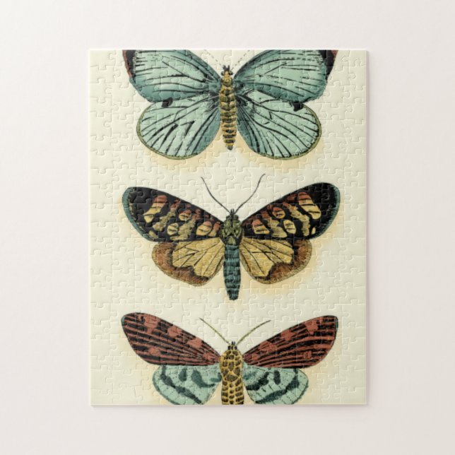 Butterfly Collection von Chariklia Zarris (Vertikal)