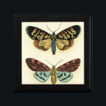 Butterfly Collection von Chariklia Zarris Geschenkbox<br><div class="desc">Dieses Gemälde von Chariklia Zarris ist ein Traum der Lepidopteristen! Ein erstaunlich detaillierter Druck einer Schmetterlingskollektion,  atemberaubend in der Farbgebung. Holen Sie sich noch heute Ihr Exemplar!</div>