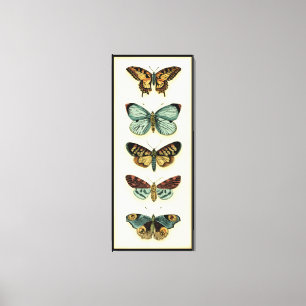 Butterfly Collection von Chariklia Zarris Leinwanddruck