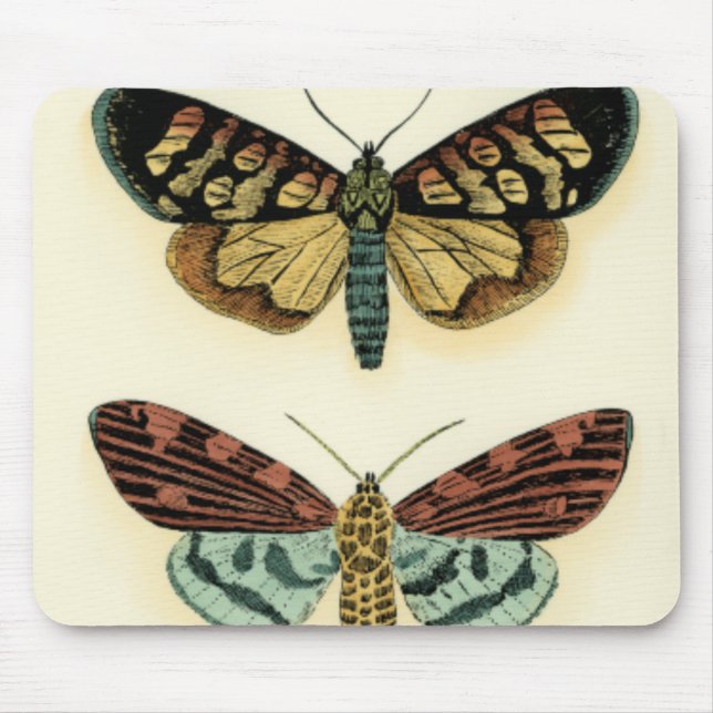 Butterfly Collection von Chariklia Zarris Mousepad (Vorne)