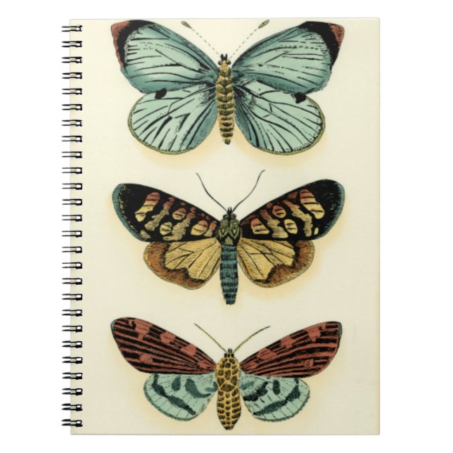 Butterfly Collection von Chariklia Zarris Notizblock (Vorderseite)