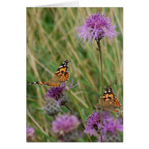 Butterfly Dream Card