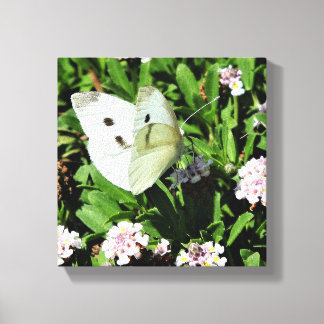 Butterfly Floral Canvas Print Leinwanddruck