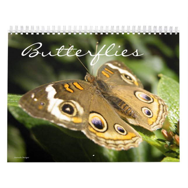 Butterfly-Foto Kalender (Titelbild)