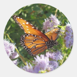 Butterfly Foto Monarch Lila Blütennatur Runder Aufkleber