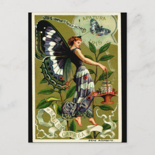 BUTTERFLY FRAU Postcard Postkarte