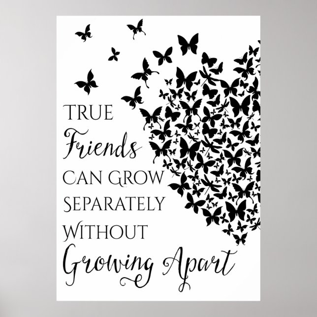 Butterfly Friendship Heart Poster (Vorne)