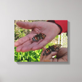 Butterfly Garden Wrapped Canvas Leinwanddruck