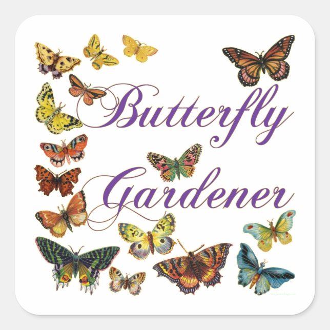 Butterfly Gardener Sprichwort Quadratischer Aufkleber (Vorderseite)