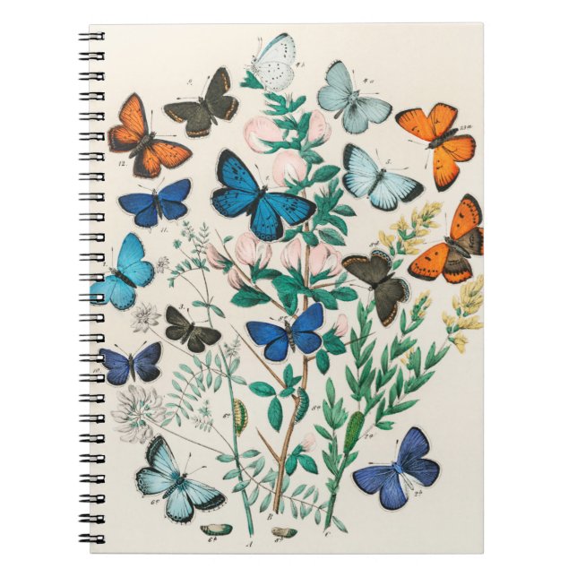 Butterfly-Illustrationen Notizblock (Vorderseite)