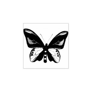 Butterfly Insekt Bug Original Illustrationskunst Gummistempel