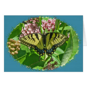 Butterfly-Karte für Fracks aus dem östlichen Tiger
