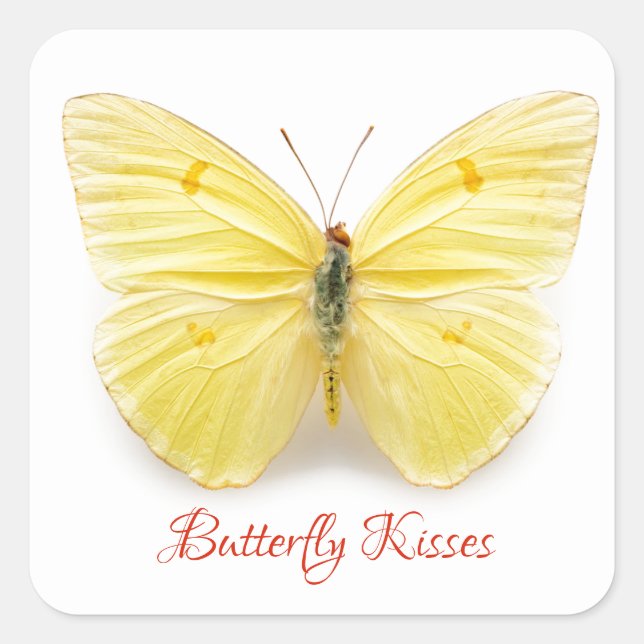 Butterfly Kisses Sticker (Vorderseite)
