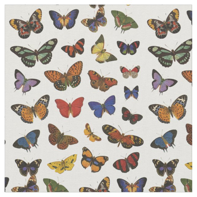 Butterfly-Kollektion Stoff (Nahaufnahme)