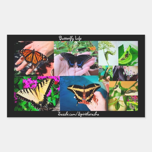 Butterfly Life  Rechteckiger Aufkleber (Vorderseite)