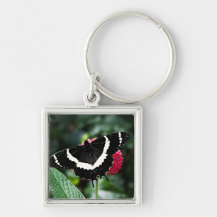 Butterfly Lolipop Schlüsselanhänger