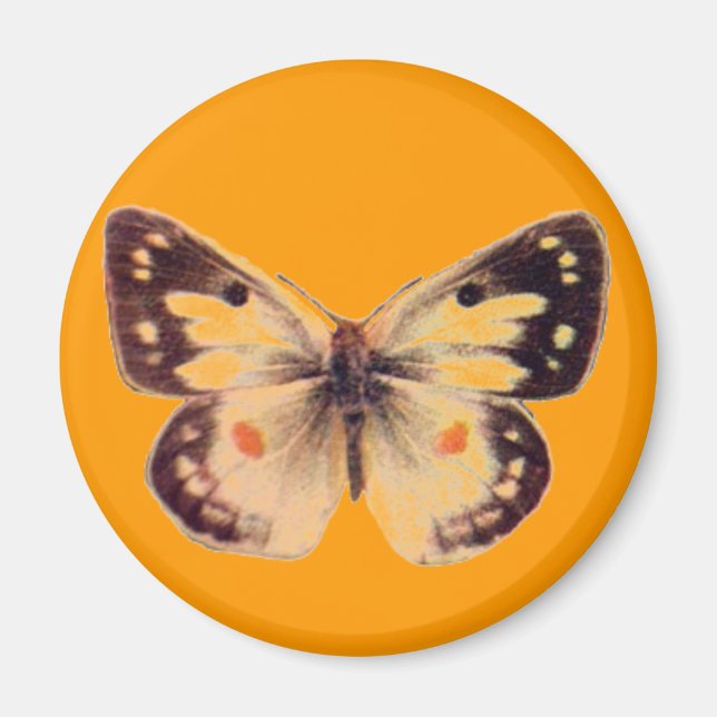 Butterfly Magnet (Vorne)