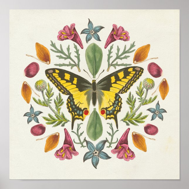 Butterfly Mandala Poster (Vorne)