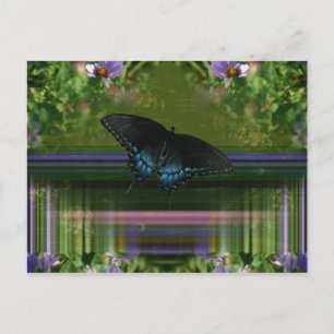 Butterfly Mantle Postkarte