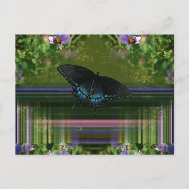 Butterfly Mantle Postkarte (Vorderseite)