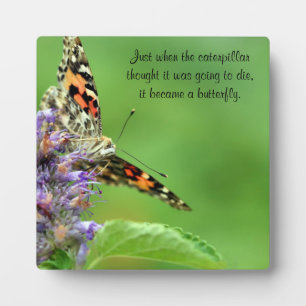 Butterfly-Metamorphose Fotoplatte