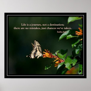 Butterfly mit India Arie Zitat Poster