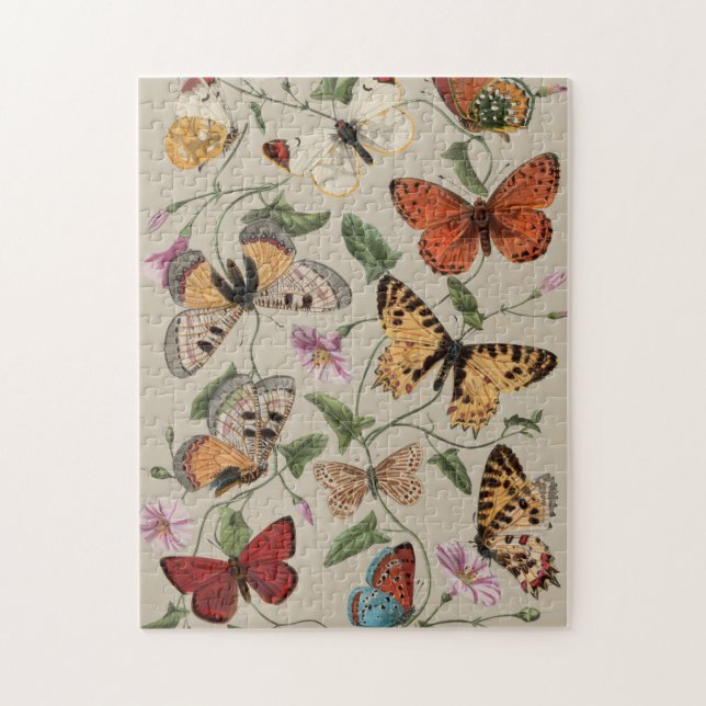 Butterfly Moth Nature Collection Zeichnend (Vertikal)