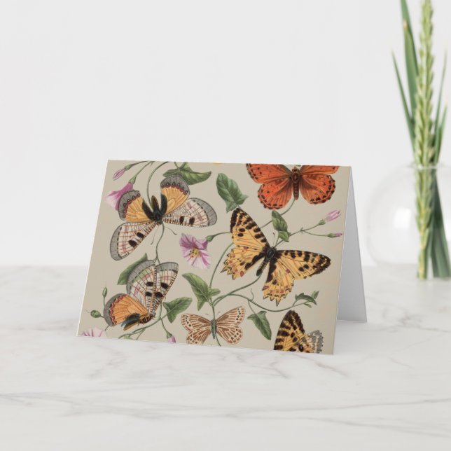 Butterfly Moth Nature Collection Zeichnend Dankeskarte (Vorderseite)