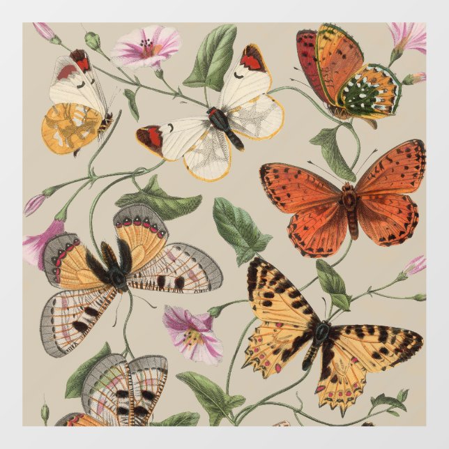 Butterfly Moth Nature Collection Zeichnend Fensteraufkleber (Blatt)
