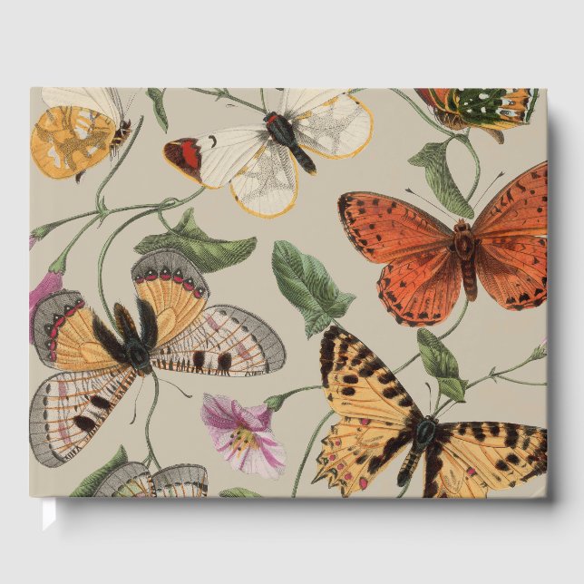 Butterfly Moth Nature Collection Zeichnend Gästebuch (Vorderseite)