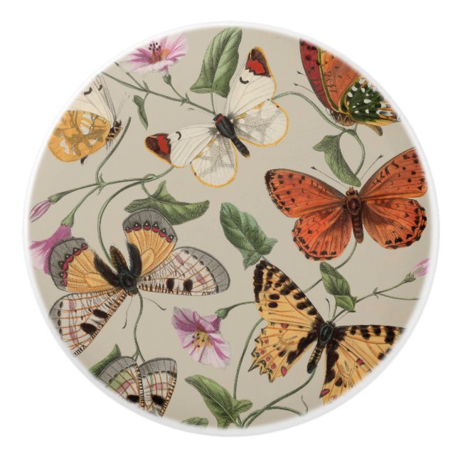 Butterfly Moth Nature Collection Zeichnend Keramikknauf (Vorderseite)