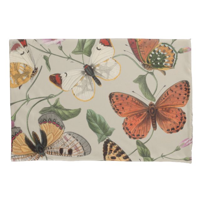 Butterfly Moth Nature Collection Zeichnend Kissenbezug (Vorderseite)