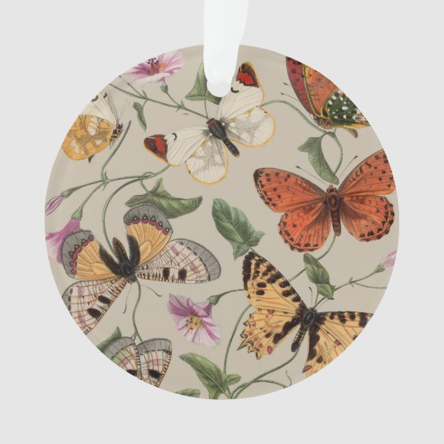 Butterfly Moth Nature Collection Zeichnend Ornament (Vorderseite)