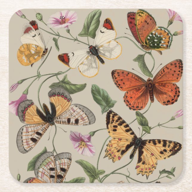 Butterfly Moth Nature Collection Zeichnend Rechteckiger Pappuntersetzer (Vorderseite)