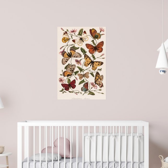 Butterfly & Moth von Paul Gervais Poster (Kinderzimmer 2)