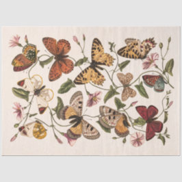 Butterfly & Moth von Paul Gervais Seidenpapier