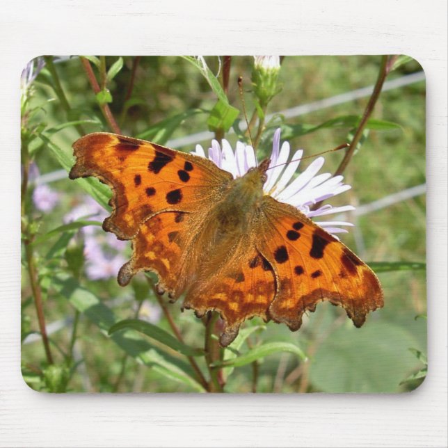 Butterfly Mousepad: Komma Mousepad (Vorne)