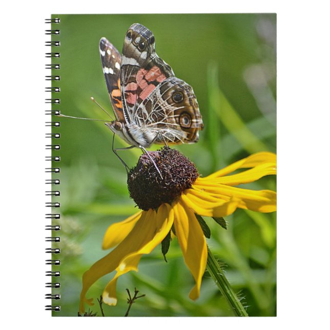 Butterfly-Notebook Notizblock (Vorderseite)