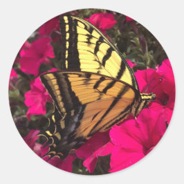 Butterfly on Pink Petunia Flowers Springtime Runder Aufkleber