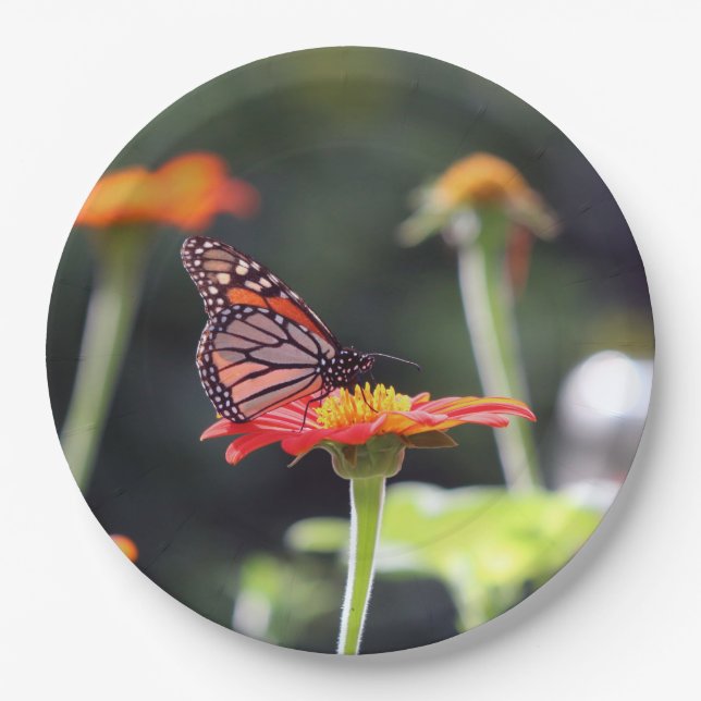 Butterfly Paper Teller (Vorderseite)