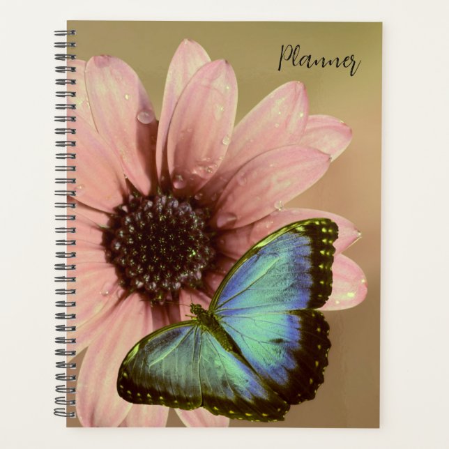 Butterfly-Planer-Kalender Planer (Vorderseite)