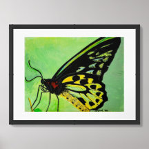 Butterfly Print