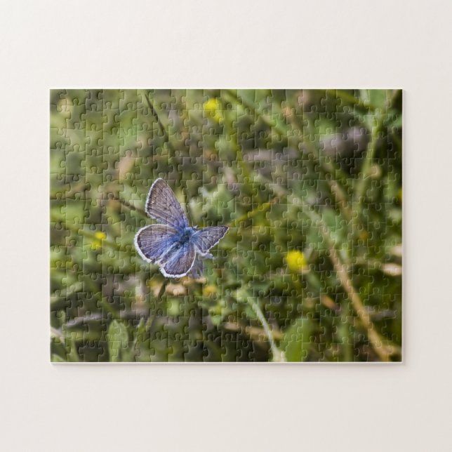 Butterfly-Puzzle 3 (Horizontal)