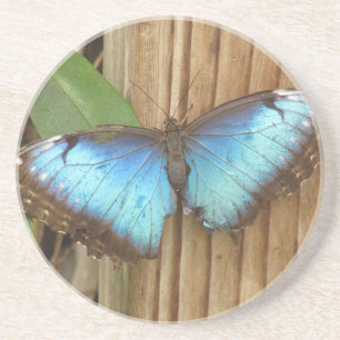 Butterfly Sandstone Untersetzer