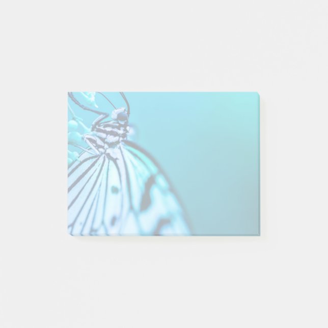 Butterfly Schönes Blau und Schwarzes Foto Post-it Klebezettel (Vorderseite)
