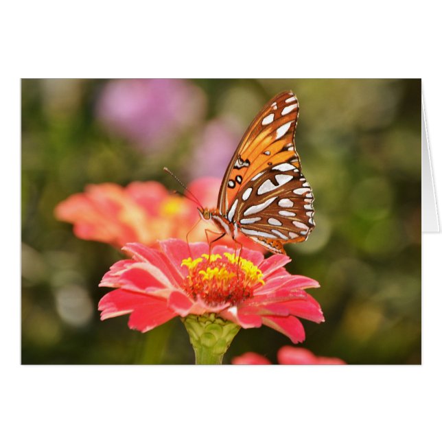 Butterfly Scripture Note Card Psalm 92:5 (Vorderseite (Horizontal))
