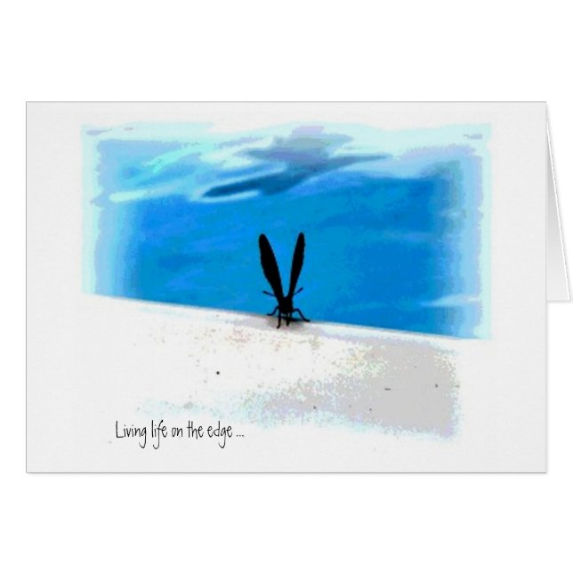 Butterfly Sillouette Graphics (Vorderseite (Horizontal))