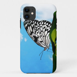 Butterfly & Sky title_seo2